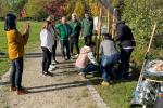 Baumpflanzaktion am 16. Oktober 2022 am Anger in Mügeln 